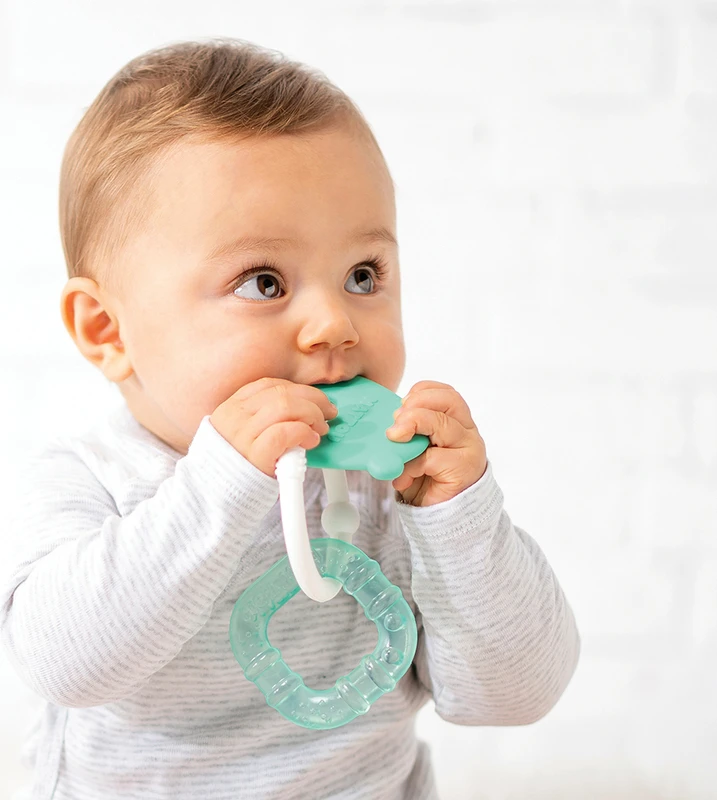 NATTOU Silikonbiss Mit Kühlteil Ohne BPA Grüne Katze 5 NATTOU Silikonbiss Mit Kühlteil Ohne BPA Grüne Katze – Bild 3