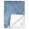 Kuscheldecke Baby Lapidou Blau Und Weiß - Nattou 1 Kuscheldecke Baby Lapidou Blau Und Weiß - Nattou -Nattou 5414673877732 couverture bebe lapidou pineapple 1